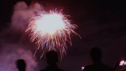 'തൃശൂർ പൂര വെടിക്കെട്ട് തകർക്കാനുള്ള നീക്കത്തിൽ നിന്ന് കേന്ദ്രം പിന്മാറണം'; സുരേഷ് ഗോപി ഇടപെടണമെന്ന് സിപിഐ