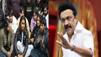 பாதிக்கப்பட்டோருக்குத் தொல்லையளிப்பதும், குற்றம்சாட்டப்பட்டோரைப் பாதுகாப்பதுமே பா.ஜ.க.வின் அடையாளம்- ஸ்டாலின்