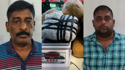 കഞ്ചാവ് കേസിലെ പ്രതിയായ മകനെ സംരക്ഷിച്ച് വിദേശത്തേക്ക് കടത്താന് ശ്രമം; എസ്ഐക്ക് സസ്പെൻഷൻ