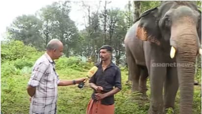 'ഏറ്റവും ബുദ്ധിമുട്ടേറിയതായിരുന്നു അരിക്കൊമ്പൻ ദൗത്യം'; അനുഭവം പറഞ്ഞ് കോന്നി സുരേന്ദ്രന്റെ പാപ്പാൻ