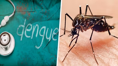 டெங்கு எச்சரிக்கை: இந்த அறிகுறிகளை புறக்கணிக்காதீங்க.. உயிருக்கே ஆபத்து ஏற்படலாம்..