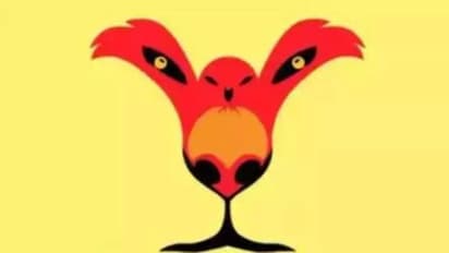 Optical Illusion: நீங்கள் பார்க்கும் முதல் விலங்கு உங்கள் உண்மையான ஆளுமையை வெளிப்படுத்தும்