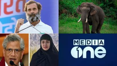 രാഹുലിന്റെ അയോഗ്യത തുടരും, സോണിയ ഗാന്ധിക്ക് കനത്ത സുരക്ഷ, അരിക്കൊമ്പന്റെ 10 കിലോമീറ്റർ യാത്ര- പത്ത് വാർത്ത