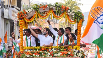 Defamation case No HC relief for Rahul Gandhi final order post summer vacation