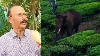 അരിക്കൊമ്പൻ ചിന്നക്കനാലിൽ തിരികെ എത്താൻ സാധ്യതയുണ്ട്, മിഷനിൽ പബ്ലിസിറ്റി കൂടിപ്പോയി: ഡോ. പിഎസ് ഈസ