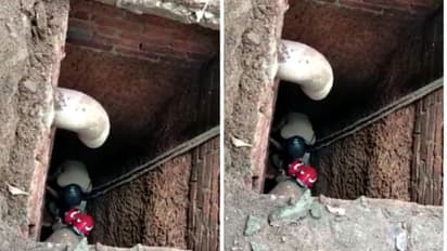 തൃശ്ശൂരിൽ മുത്തശ്ശിയും രണ്ട് വയസുകാരിയും സ്ലാബ് തകർന്ന് സെപ്റ്റിക് ടാങ്കിൽ വീണു, രക്ഷകരായി ഫയർഫോഴ്സ്