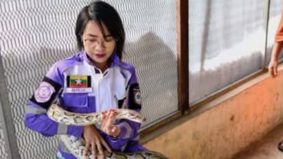 മ്യാൻമറിലെ പാമ്പുകളുടെ രാജകുമാരിയും രാജകുമാരനും, അങ്ങനെ അറിയപ്പെടാൻ കാരണം ഇത്...