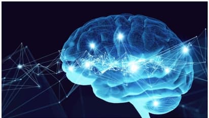 മരണശേഷവും തലച്ചോര് ജീവിക്കുമോ ? പുതിയ പഠനവുമായി ഗവേഷകർ