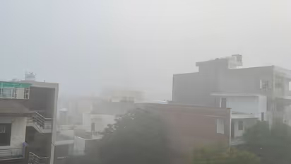 Delhi-NCR engulfed in untimely fog, IMD issues warning for more rainfall in next 5 days