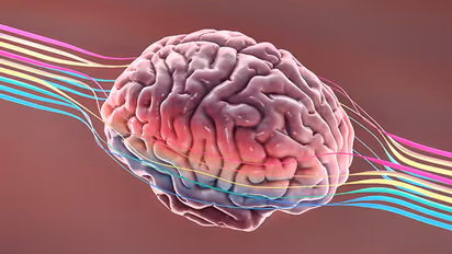 Health Tips: തലച്ചോറിന്‍റെ ആരോഗ്യത്തിനായി പിന്തുടരാം ഈ ശീലങ്ങള്‍