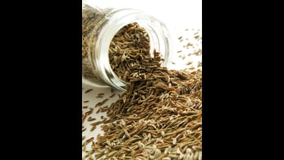 ഡ്രൈവറെ മർദ്ദിച്ച് ഒരുലോഡ് ജീരകം മോഷ്ടിച്ചു, പ്രതികൾ പിടിയിൽ