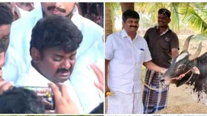 காணாமல் போய் மீண்டும் இல்லம் வந்து சேந்தவனை, இழப்பேன் என ஒரு கனம் கூட எண்ணியதில்லை- விஜயபாஸ்கர் கண்ணீர் கவிதை