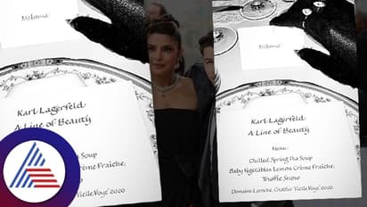 Viral News : 41 ಲಕ್ಷದ ಟಿಕೆಟ್ ಗೆ ನೀಡಿದ ಆಹಾರ ನೋಡಿ ನೆಟ್ಟಿಗರು ದಂಗು!