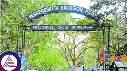 Bengaluru's elevated corridor through Bannerghatta National Park gets Wildlife Board's approval