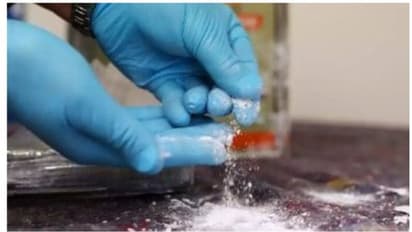 പിടിച്ചെടുത്തത് എംഡിഎംഎ എന്ന് പൊലീസ്, അല്ലെന്ന് ലാബ് റിപ്പോർട്ട്; യുവാക്കൾ ജയിലിൽ കിടന്നത് മൂന്നുമാസം, വിവാദം