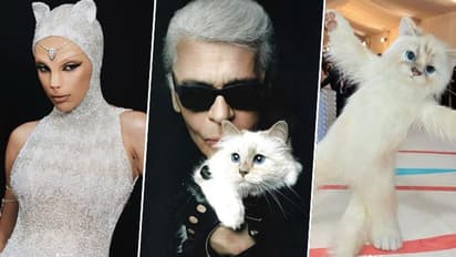 MEOW! Karl Lagerfeld's famous cat Choupette FINALLY reacts to Doja Cat, Jared Leto's Met Gala outfit (PHOTOS)