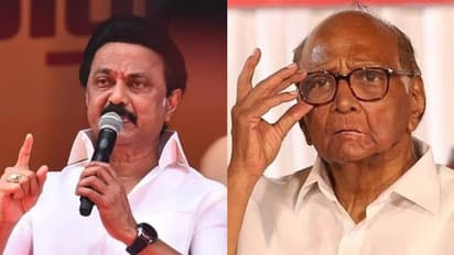 'മതനിരപേക്ഷ മുന്നണി ശക്തമാക്കാൻ അധ്യക്ഷ പദവിയിൽ വേണം'; ശരത് പവാർ പദവി ഒഴിയരുതെന്ന് എം.കെ.സ്റ്റാലിൻ