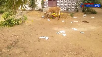 Watch : தற்கொலை செய்த கர்ப்பிணியின் உடலை வீட்டு வாசலில் புதைத்த 50 பேர் மீது வழக்கு பதிவு!