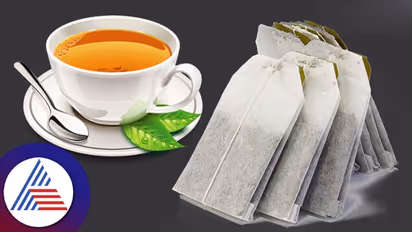 Business Ideas : ಬಹುಬೇಡಿಕೆಯಿರುವ ಈ ಬ್ಯುಸಿನೆಸ್ ಶುರು ಮಾಡಿ, ಲಾಭ ಗಳಿಸಿ