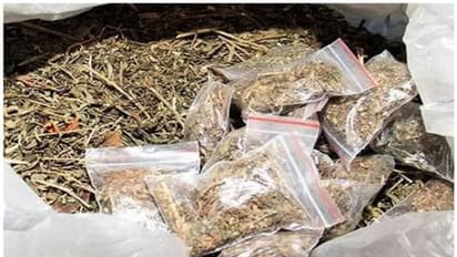  ആഢംബര കാറില്‍ കഞ്ചാവ് കടത്ത്; പിടിച്ചെടുത്തത് 221 കിലോ, തൃശ്ശൂരില്‍ നാല് പേർ പിടിയിൽ