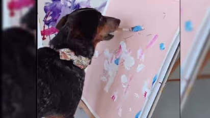 ഉടമയെ വരക്കാൻ ശ്രമിക്കുന്ന നായ? വൈറലായി വീഡിയോ