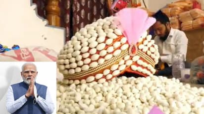 Karnataka Election 2023: Turban made of cardamom awaits PM Modi in Haveri (WATCH)