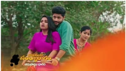 Padamati Sandhyaragam: ప్లాన్ ఫ్లాప్ అయ్యి అడ్డంగా బుక్కయిపోయిన శీను.. రామలక్ష్మి, అధ్య ని గెలిపించగలదా?