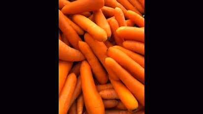 ദിവസവും കാരറ്റ് കഴിക്കുന്നത് ശീലമാക്കൂ, ​ഗുണങ്ങളറിയാം 