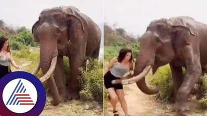 ಆನೆಯ ತಾಳ್ಮೆ ಪರೀಕ್ಷಿಸಿದ ಯುವತಿಯ ಎತ್ತಿ ಎಸೆದ ಗಜೇಂದ್ರ.. ವೈರಲ್ ವೀಡಿಯೋ