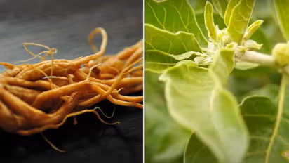 Here are 3 fantastic natural supplements to aid you in handling summertime laziness