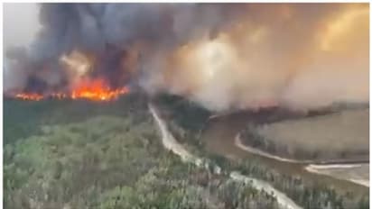 ട്വിറ്ററിലും ആളിക്കത്തി കാനഡയിലെ 'കാട്ടുതീ'; വൈറല് വീഡിയോകള് കാണാം