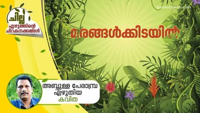 മരങ്ങള്‍ക്കിടയില്‍,  അബ്ദുള്ള പേരാമ്പ്ര എഴുതിയ കവിത