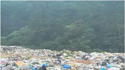 മാലിന്യം വലിച്ചെറിഞ്ഞാൽ പൂട്ടാൻ വാട്സാപ്പ് തന്ത്രം, കയ്യോടെ പിടിവീഴും; പുതിയ നീക്കവുമായി മൂന്നാർ പഞ്ചായത്ത്!