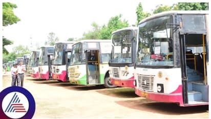 Mysuru Assembly Constituencies: ಮೈಸೂರು ಜಿಲ್ಲೆಯಲ್ಲಿ ಮತದಾನಕ್ಕೆ ಬರುವ ಹಿರಿಯರಿಗೆ ಬಸ್ ವ್ಯವಸ್ಥೆ