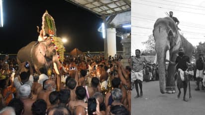 നീണ്ട 16 വര്ഷം; തെച്ചിക്കോട്ടുകാവ് രാമന്ചന്ദ്രന് വീണ്ടും കൂടല്മാണിക്യ ക്ഷേത്രത്തിലെത്തി, തിടമ്പേറ്റാന്