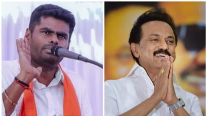 'മുഖ്യമന്ത്രിയെ അപകീർത്തിപ്പെടുത്തുന്നു'; ബിജെപി അധ്യക്ഷനെതിരെ മാനനഷ്ടക്കേസുമായി തമിഴ്നാട് സർക്കാർ
