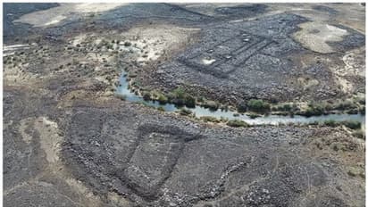 7,000 വര്‍ഷം മുമ്പ് സൗദി അറേബ്യയില്‍ മൃഗബലി നടന്നിരുന്നു എന്നതിന് തെളിവ് കണ്ടെത്തിയെന്ന് ഗവേഷകര്‍ 