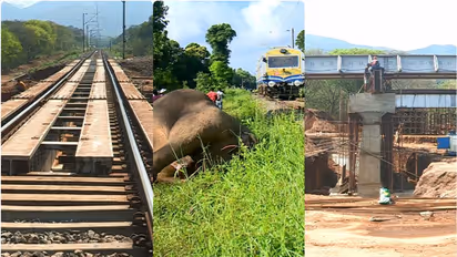 ആനക്കൂട്ടങ്ങൾക്ക് സ്വൈര്യ വിഹാരത്തിനായി അടിപ്പാതകൾ നിർമ്മിക്കാനൊരുങ്ങി റെയിൽവേ