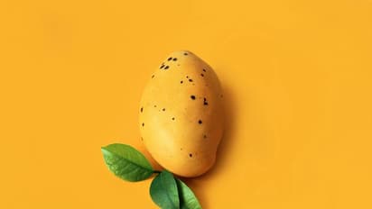 Things to check while buying mangoes to avoid consuming toxic chemicals