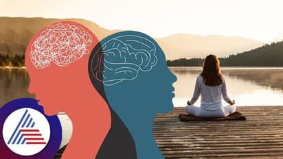 Mental Health: ಒತ್ತಡ ಕಡಿಮೆಯಾಗ್ಬೇಕೆಂದ್ರೆ ಬೆಳಗ್ಗೆ ಈ ಚಿಕಿತ್ಸೆ ಮಾಡ್ಕೊಳ್ಳಿ