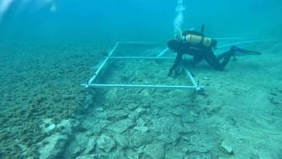 സമുദ്രത്തിന്റെ അടിത്തട്ടിൽ 7,000 വർഷം പഴക്കമുള്ള ഹൈവേ! കണ്ടെത്തലുമായി പുരാവസ്തു ഗവേഷകർ