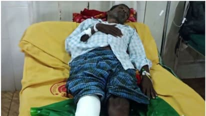 വയനാട് തോല്പ്പെട്ടിയിൽ കാട്ടാനയുടെ ആക്രമണത്തില് വയോധികന് പരിക്കേറ്റു