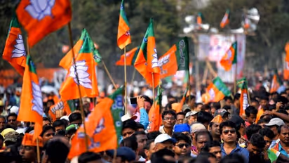 உத்தரபிரதேச உள்ளாட்சி தேர்தலில் ஒட்டுமொத்த முஸ்லீம் ஓட்டுக்களை அள்ளி வெற்றி பெற்ற பாஜக - எப்படி தெரியுமா?