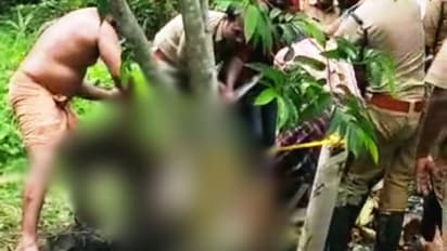 'പറമ്പിലൂടെ നടക്കുന്നതിനിടെ കോൺക്രീറ്റ് തകർന്ന് കക്കൂസ് ടാങ്കിൽ വീണു'; ഒടുവിൽ പശുവിനെ രക്ഷിച്ചത് ഫയർഫോഴ്സ്