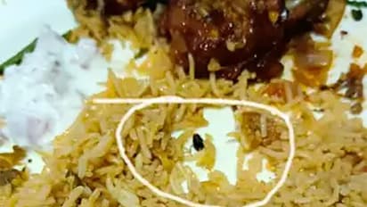 புதுச்சேரியில் தொழிலதிபருக்கு கரப்பான் பூச்சி பிரியாணி பரிமாறிய பிரபல உணவகம்!