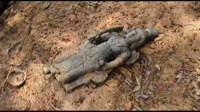 വേനലിൽ വറ്റിയ ചന്ദ്രഗിരിപ്പുഴയിൽ പത്താം നൂറ്റാണ്ടിലേതെന്ന് കരുതുന്ന പാര്ത്ഥസാരഥി വിഗ്രഹം കണ്ടെത്തി