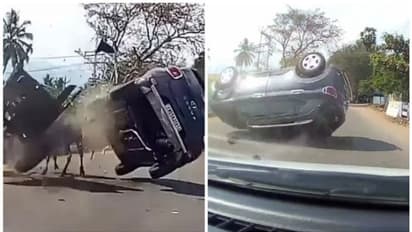 കാളവണ്ടിയിൽ തട്ടിയ വെന്യൂവിന് സംഭവിച്ചത്, കാളവണ്ടിക്ക് ഫൈവ് സ്റ്റാര്‍ റേറ്റിംഗ് നല്‍കാമെന്ന് ജനം!