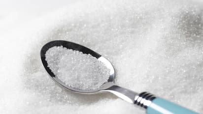 Don't use sugar substitutes for weight loss: WHO issues new guidelines; check details