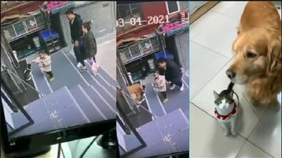 ಹೊರಗೆ ನಡಿತಿದ್ದಿದ್ದನ್ನಾ ಸಿಸಿಟಿವಿಲಿ ನೋಡಿದ ಶ್ವಾನ ಏನ್ ಮಾಡ್ತು ನೋಡಿ