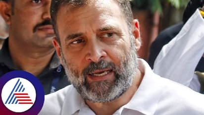 Rahul gandhi: ಕರ್ನಾಟಕ ಚುನಾವಣೆ ಮುಗಿದ ಬೆನ್ನಲ್ಲೇ ರಾಹುಲ್ 10 ದಿನ ಅಮೆರಿಕ ಪ್ರವಾಸ!